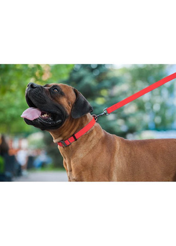 Поводок для собак WAUDOG Waterproof красный 25мм 122см водостойкий для больших собак амуниция для выгула ProDobro (373236181)