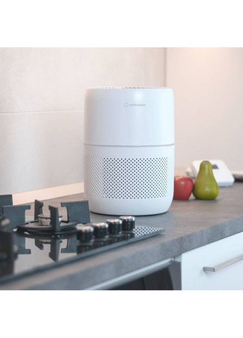 Воздухоочиститель D20 AD Turbionaire (323085903)