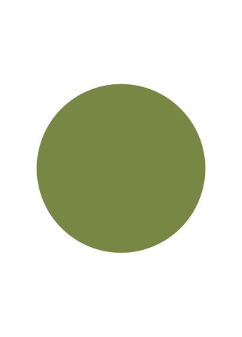 Кольоровий лінер Art Liner, Brown olive/Коричнево-оливковий, 99IDEAS (329144474)