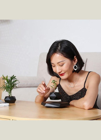 Магнітний левітаційний горщик для рослин HCNT Magnetic Levitating Pot M10-PZ1 Black No Brand (340405030)