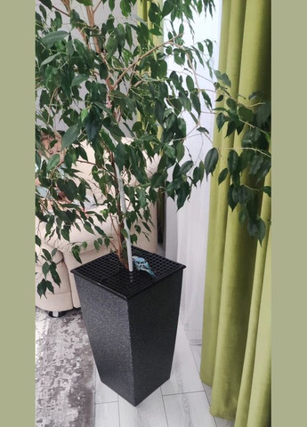 Комплект 2 шт Защита для растений цветов до 30 см от кошек и детей – регулируемый барьер для горшков No Brand (338379119)