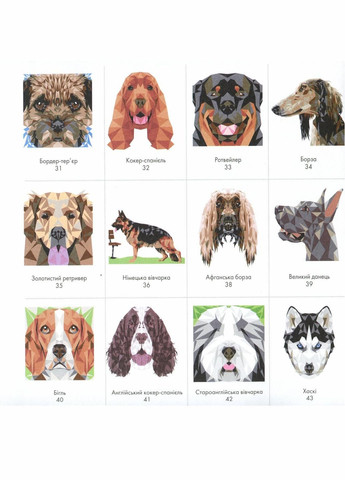 Розмальовка по номерам Трианімалз. Собаки. 8+ Z101038У 9786177579303 Жорж (303507914)