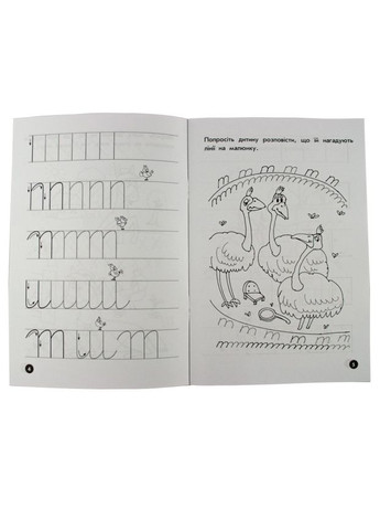 Навчальна книга Мої перші прописи. Лінії 102697 Zirka (304406233)