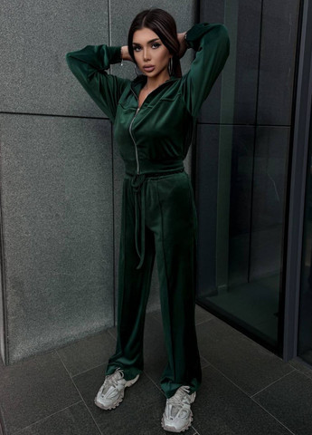 Базовий повсякденний демісезонний велюровий костюм двійка: кофта на блискавці + штани Tik-Tak (358058648)