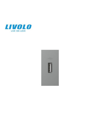 USB розетка 5V 2.1A, сіра, 10Вт, з блоком живлення, модуль 0.5 поста (VL-FCUA-1IP) Livolo (370970795)