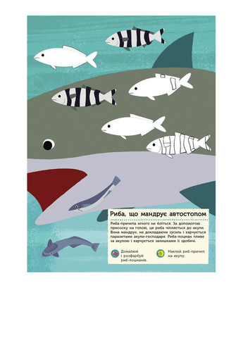 Моя книга природи : В океані колір різнокольоровий ЦБ-00240821 РАНОК (314455893)