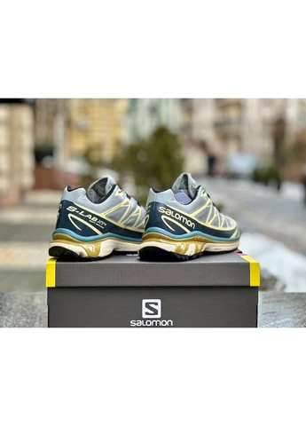 Серые демисезонные кроссовки мужские salomon xt-6 adv dover silver beige саломон хт 6 серые No Brand