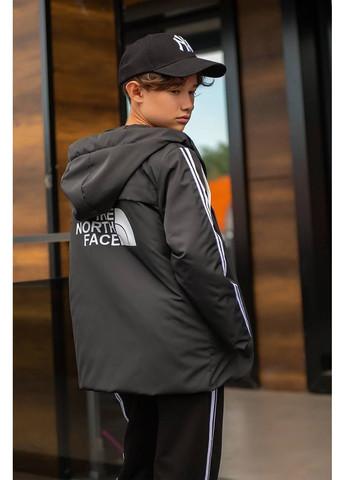 Костюм тройка с курткой popluzhnaya (355341521)