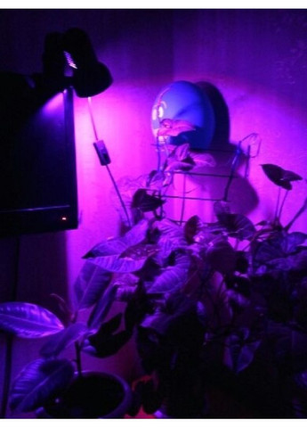 Фітолампа GR-8 зі світильником-прищіпкою Greenhouse Full spectrum (371875537)