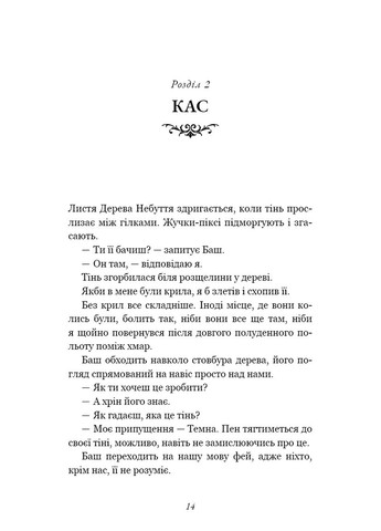 Розпусні загублені хлопці. Темний. Книга 2 BookChef (370077124)