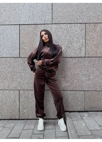 Женский велюровый костюм двойка Fashion (382027613)