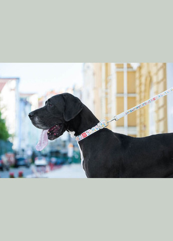 Поводок Design с рисунком "Пончики" (ширина 25 мм, длина 122 см) WAUDOG (333799689)