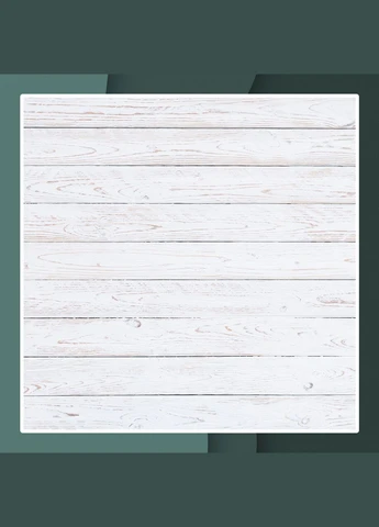 Вініловий фотофон 100х200см, Frontlit 450 г/м2, стіна + підлога №59193 PhotoVinyl (354365446)
