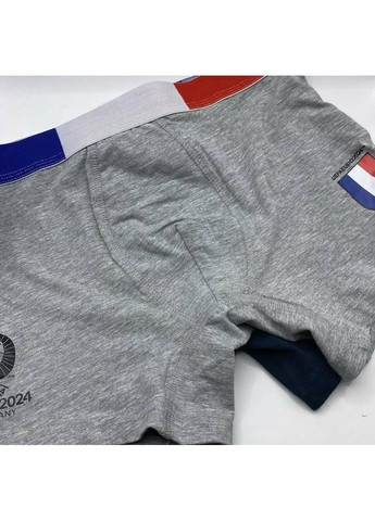 Набір чоловічих трусів боксерів Livergy боксери (349817956)