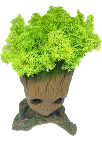 Кашпо горшочек со стабилизированным мхом Грут Groot G3 No Brand (331639465)