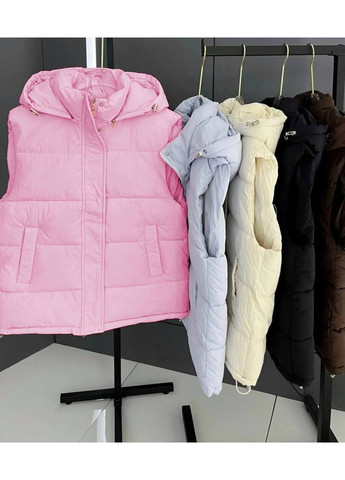 Стильній жіночій жилет з капюшоном прямий крій No Brand (363829177)