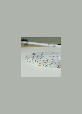 Світлодіодна стрічка Professional BPS-G3-12-2835-60-WW-20 теплий білий, негерметична BIOM (365290300)