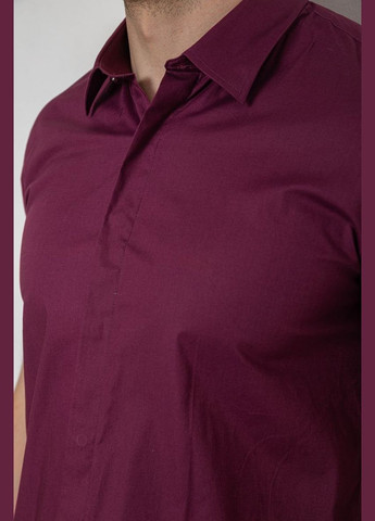 Сливовая рубашка Ager