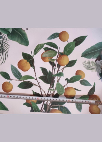 Виниловые наклейки Зеленые листья банан лимон (лист 60 х 90 см) Б83-15 No Brand (334884604)