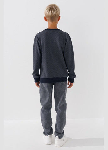 DENIZ свитшот однотонный для мальчика 3006 152 см темно-синий (2000990475381d) shop (2000990475381) темно-синий повседневный