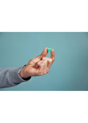 Беруши Alpine Hearing Protection (369550455)