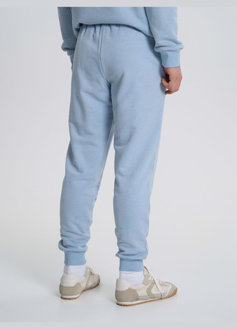 Штани чоловічі спортивні у кольорі сірий меланж ТМ РОЗА Роза (324811568)