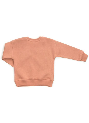 Спортивний костюм флісовий (23197-92G-brown) Smile (300857242)