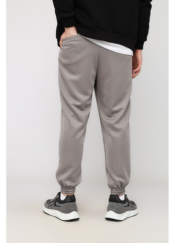 Серые демисезонные брюки Yuki