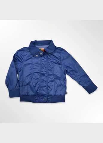 Синя демісезонна вітровка Quadri foglio