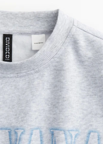 Светло-серый свитшот H&M рисунок (312247338)