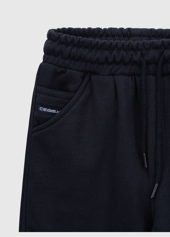 Темно-синие спортивные зимние брюки Cegisa