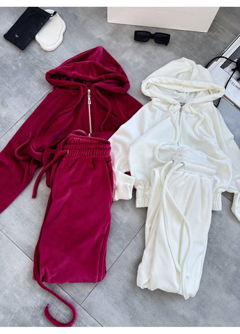 Жіночий велюровий спортивний костюм із худі та штанами Україна (354693289)