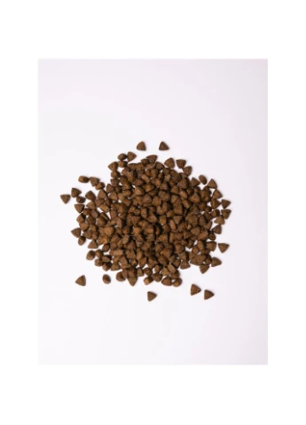 Сухой корм для взрослых собак All Breed Sterilised rich in Fresh Turkey с индейкой 3 кг Savory (399748530)