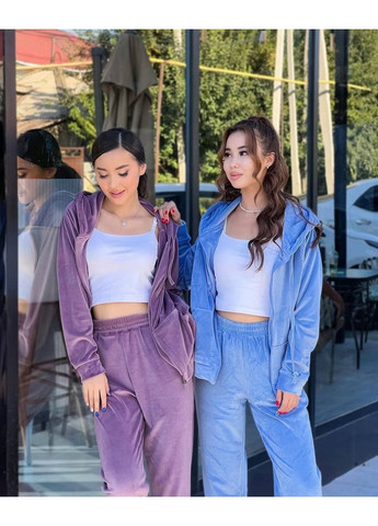 Жіночий велюровий спортивний костюм Україна (361071381)