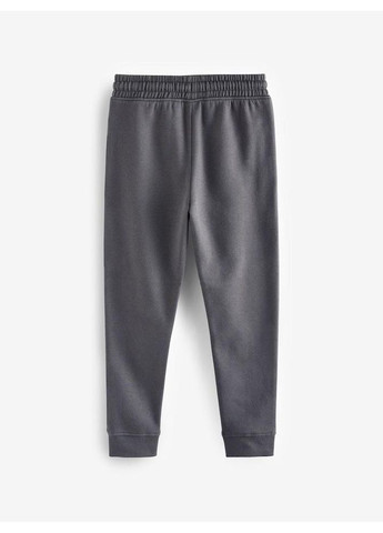 Дитячі теплі спортивні штани-джогери для хлопчика NEXT Сірий графіт (25103014) Next Baby (366393310)