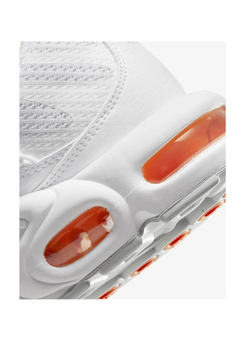 Білі Осінні кросівки чоловічі air max plus tn (fj4232-100) Nike