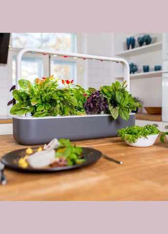 Стартовий набір сірий 8899 SG9 Click and Grow (316627115)