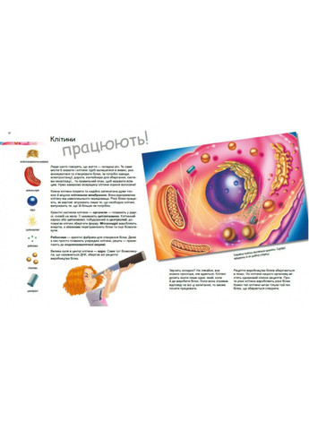 Генетика для детей. Удивительный мир клеток. Автор – Патрик А. Боэрле, Норберт Ланда ( ) РАНОК (338877366)
