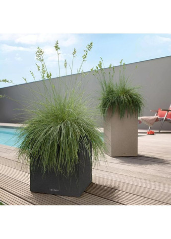 Кашпо CANTO Stone 30 Low Кварцовий білий (13707) Lechuza (329405622)