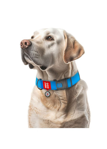 Ошейник для собак водостойкий Waterproof c QR паспортом, пластиковый фастекс, XXL, Ш 40 мм, Дл 46-70 см, голубой WAUDOG (279561577)