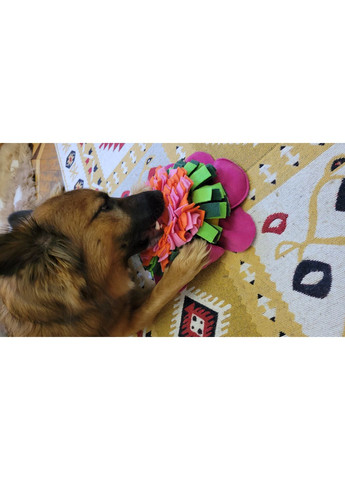 М'яка розвиваюча іграшка для собак No Brand (361425654)