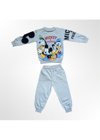 Сірий демісезонний дитячий комплект "" (лонгслів + штани) для хлопчика сірий (0373-13) брючний No Brand Mickey Mouse