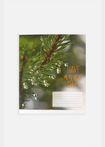 Зошит учнівський в лінію колір різнокольоровий CB-00255163 Фабрика Поліграфіст (319128049)