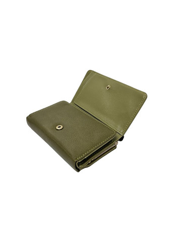 Жіночий гаманець з еко-шкіри C-0582-B зелений 13 x 8 x 3 Saralyn (369157589)