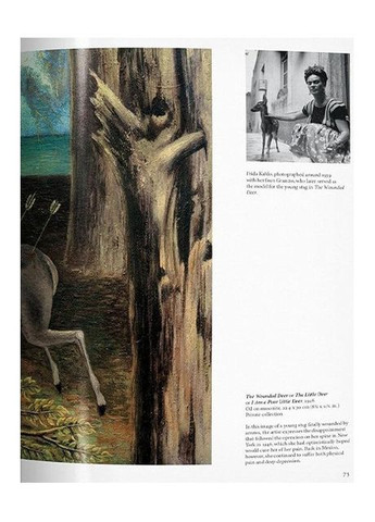 Книга Frida Kahlo (9783836500852) Taschen (364656270)