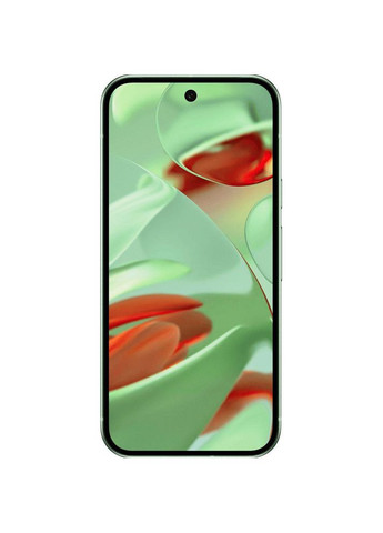 Смартфон Pixel 9 12/128GB Wintergreen (No Adapter) US Google (367074274)