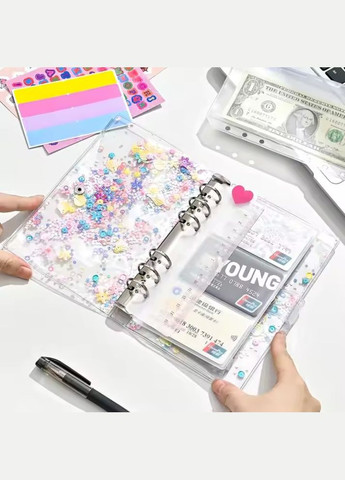 Блокнот-планер для фінансів 12,5х19,5 см, планер бюджету та зберігання грошей, органайзер прозорий з блискітками No Brand (369802983)