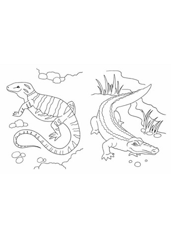 Велика книга розмальовок Тварини 1736031, 64 сторінки No Brand (362570737)