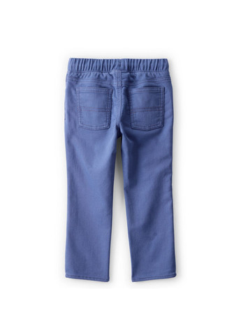 Синие демисезонные брюки Carter's