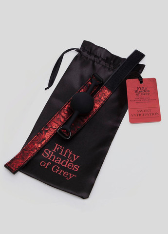 Кляп силіконовий Fifty Shades of Grey Sweet Anticipation Reversible Silicone Ball Gag No Brand (303888011)